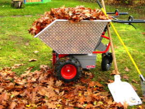 TeMax Elektrodumper | Dumper