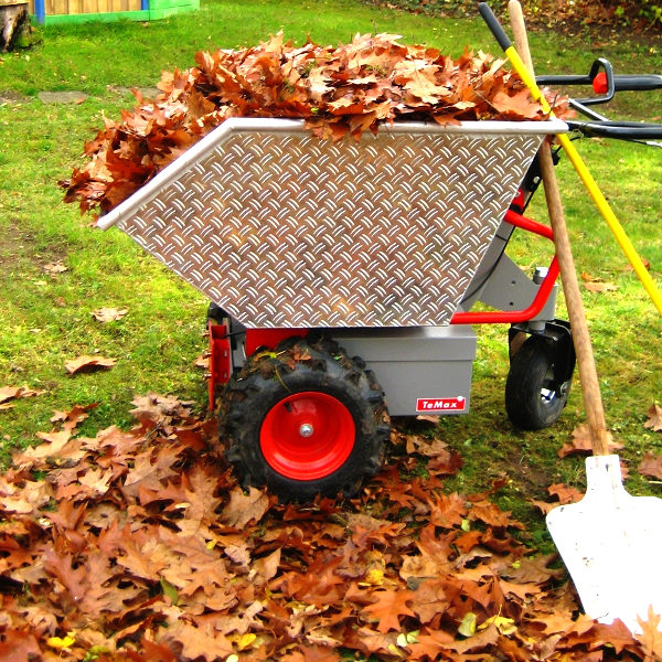 TeMax Elektrodumper | Dumper