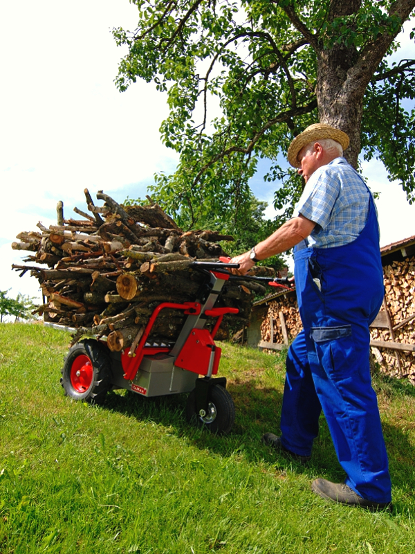 TeMax Elektrodumper | Dumper