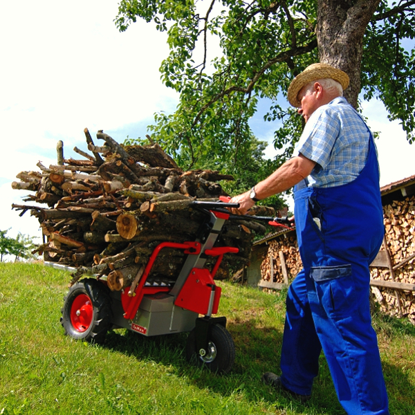 TeMax Elektrodumper | Dumper | Schubkarre