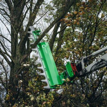 Hecken und Astschere