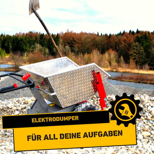Elektrodumper kaufen